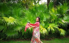 七妹福利500导航